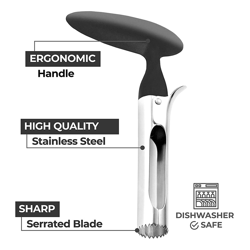 Premium Apple Corer Stainless  - Apple Corer Slicer avis et prix