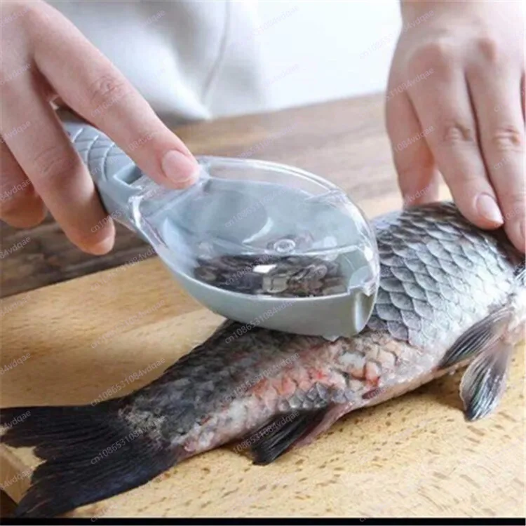 Popular Fish Scale Scraping Ar - Kitchen Gadgets Popular avis et prix