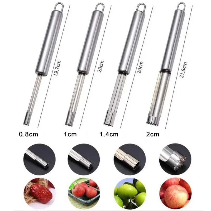 Stainless Steel Fruit Corer Ap - Apple Corer Slicer avis et prix