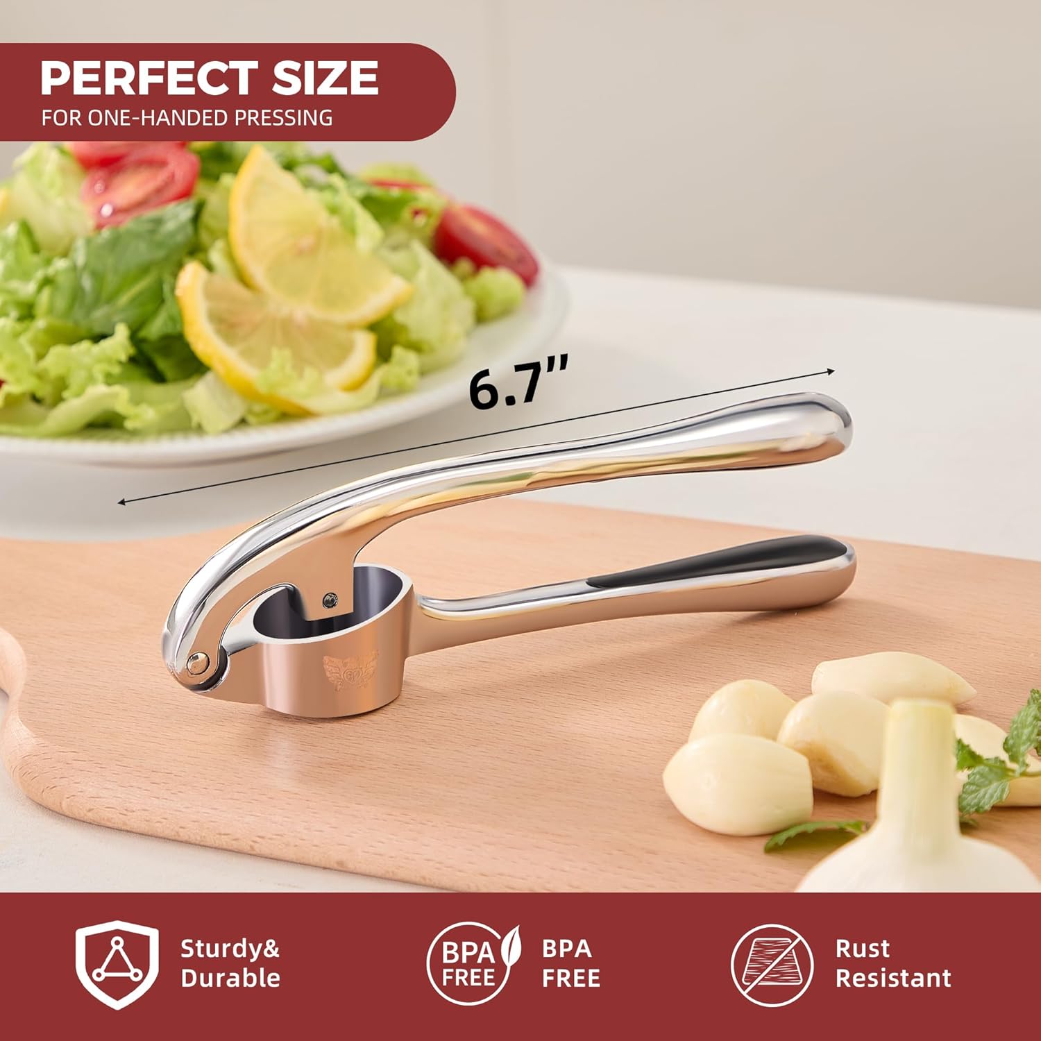 Heavy-Duty Garlic Press Set -  - Kitchen Gadgets Images avis et prix