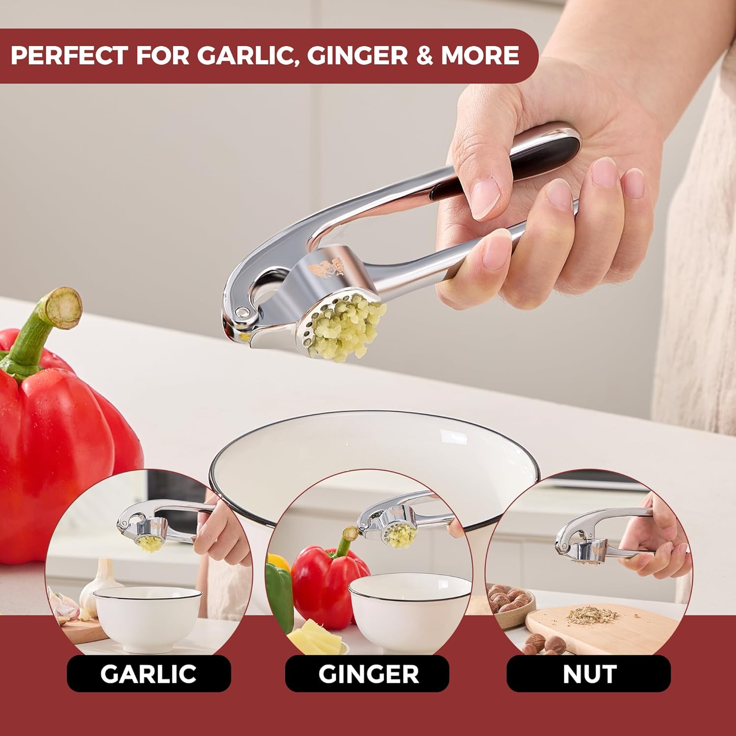 Heavy-Duty Garlic Press Set -  - Kitchen Gadgets Images avis et prix