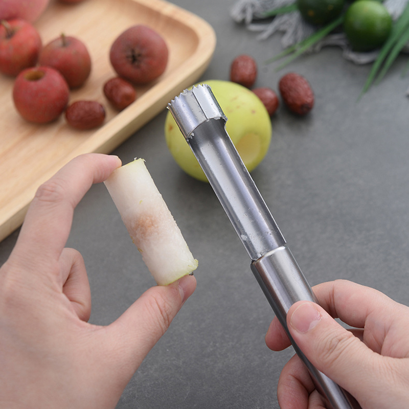 Stainless Steel Fruit Corer Ap - Apple Corer Slicer avis et prix