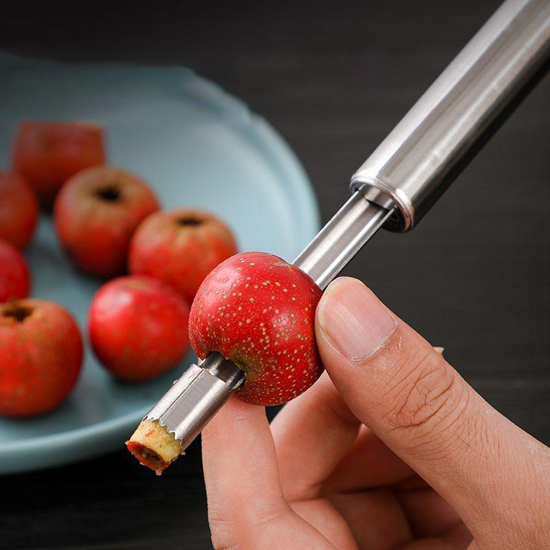 Stainless Steel Fruit Corer Ap - Apple Corer Slicer avis et prix